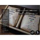 珈琲豆　中深煎り　おまかせ 2種 飲み比べセット 200g×2袋(豆のまま)