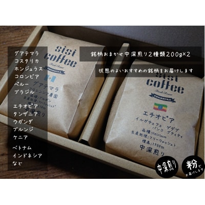 珈琲豆　中深煎り　おまかせ 2種 飲み比べセット 200g×2袋(粉)