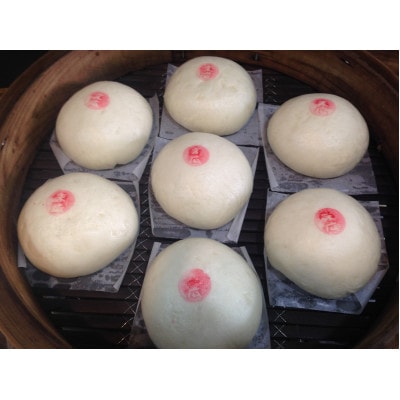 自家製　あんまん 10個入 1.1kg 中華まん末広(SUEHIRO) 神奈川県横須賀市