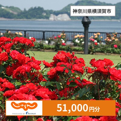 【じゃらんふるさと納税クーポン】 神奈川県横須賀市でつかえる51,000円 クーポン