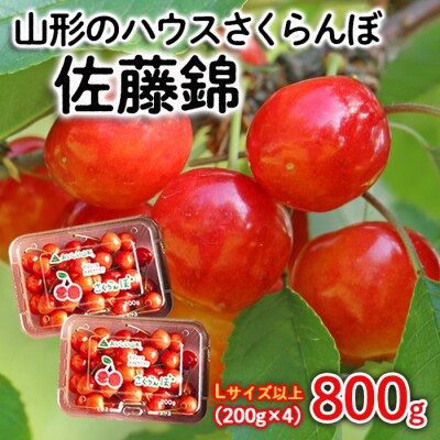 山形ハウスさくらんぼ 佐藤錦 800g(200g×4) Lサイズ以上 【令和7年産】FS24-546