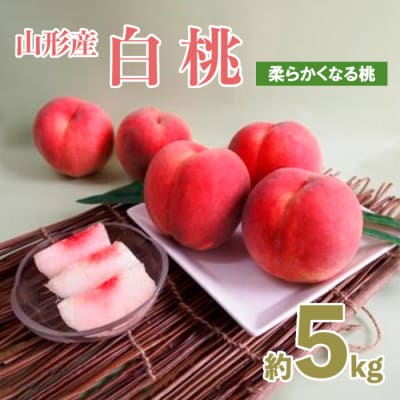 山形産白桃 小玉サイズ 約5kg(18～22玉)[柔らかくなる桃] 【令和7年産】FU21-159