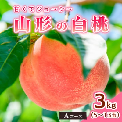山形の白桃3kg(5～13玉)Aコース[柔らかくなる品種] 【令和7年産】FS24-563