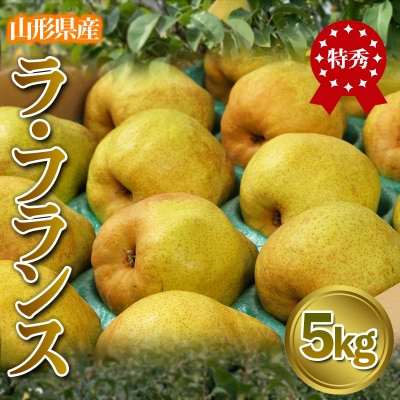 ★食べ頃出荷★「ラ・フランス」 特秀品 5kg (12～20玉) 【令和7年産】FS24-819