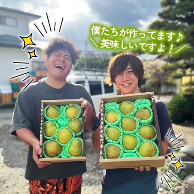 ★食べ頃出荷★「ラ・フランス」 特秀品 5kg (12～20玉) 【令和7年産】FS24-819