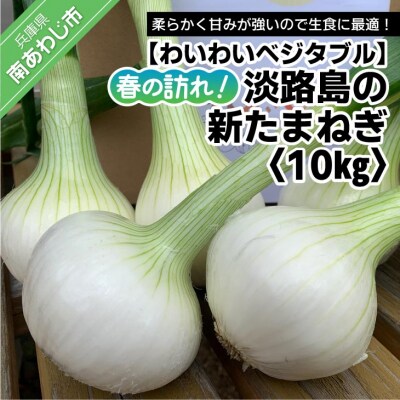 【わいわいベジタブル】春の訪れ!淡路島の新たまねぎ(10kg)