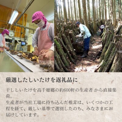  高千穂郷産カサ茸椎茸 50g×6袋 