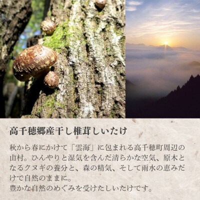 高千穂郷産天白茶花どんこギフト 115g