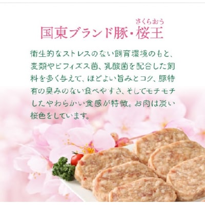 豊後牛と桜王豚のWハンバーグ2kgセット_1485R