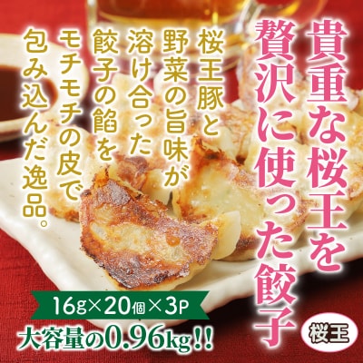 くにさき桜王豚の餃子60個/計0.96kg_1066R