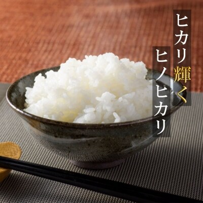 米 5kg 行徳農園のお米 ひのひかり 筑後小郡産 農家直送 お米 コメ[No5354-0275]