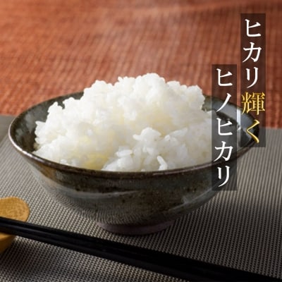 米 10kg 行徳農園のお米 ひのひかり 筑後小郡産 農家直送 お米 コメ[No5354-0276]