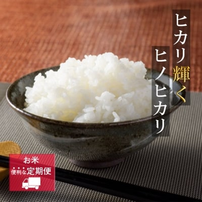 定期便6ヶ月 米 5kg 令和6年度産米 ひのひかり 筑後小郡産 農家直送[No5354-0573]