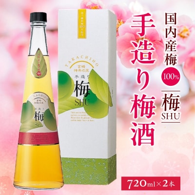手造り梅酒 14% 720ml×2本セット