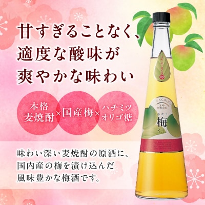 手造り梅酒 14% 720ml×2本セット