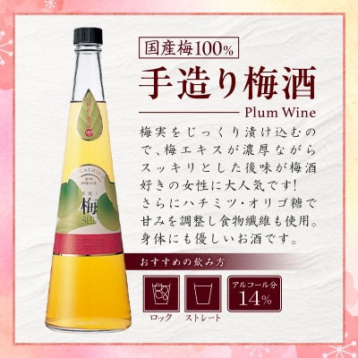 手造り梅酒 14% 720ml×2本セット