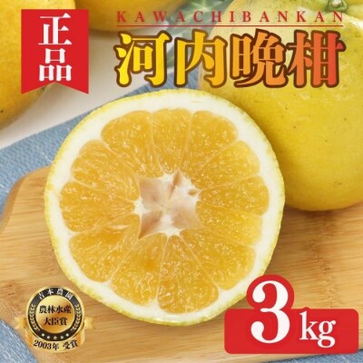 【正品】河内晩柑 (愛南ゴールド)3kg  吉本農園【発送期間: 2024年4月10日～】