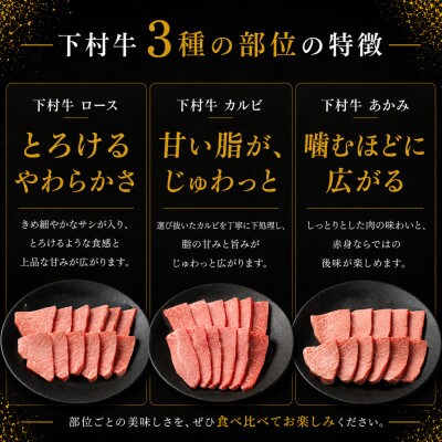東浦町産黒毛和牛『下村牛』焼肉3種食べ比べセット 計750g(ロース・カルビ・あかみ 各250g)