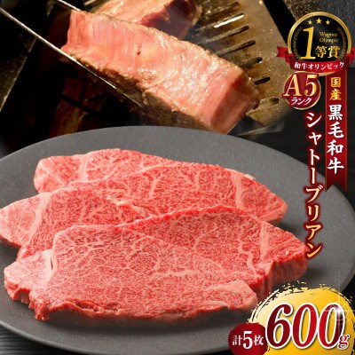 東浦町産黒毛和牛『下村牛』極上シャトーブリアン 5枚(約600g)