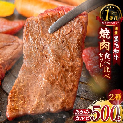 東浦町産黒毛和牛『下村牛』焼肉2種食べ比べセット(A)計500g(カルビ・あかみ各250g)