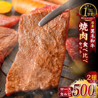 東浦町産黒毛和牛『下村牛』焼肉2種食べ比べセット(B)計500g(ロース・カルビ各250g)