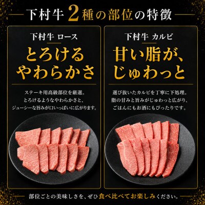東浦町産黒毛和牛『下村牛』焼肉2種食べ比べセット(B)計500g(ロース・カルビ各250g)