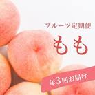 ももの定期便　3種類　はつひめ/あかつき/ゆうぞら　各約3kg【2025年発送】 No.2883