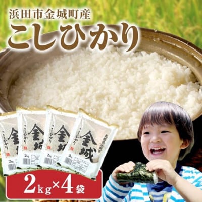 【令和7年産】《10月より順次発送》浜田市金城町産こしひかり　2kg×4袋
