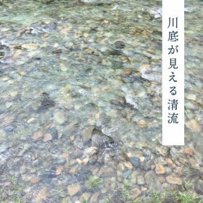 【令和6年産】浜田市金城町産こしひかり　2kg×4袋