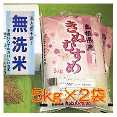 無洗米　石見産きぬむすめ　5kg×2袋