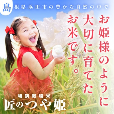 【令和6年産】特別栽培米「匠のつや姫」　5kg×2袋
