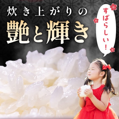 【令和6年産】特別栽培米「匠のつや姫」　5kg×2袋