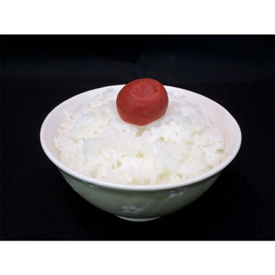 石見産きぬむすめ　2kg×4袋