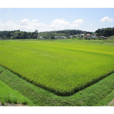 石見産きぬむすめ　5kg