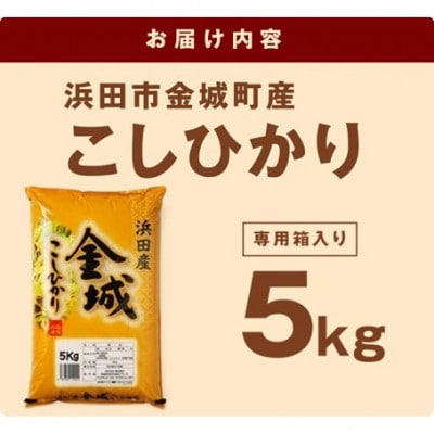 【令和7年産】《10月より順次発送》浜田市金城町産こしひかり　5kg