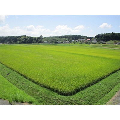 【毎月定期便】浜田市金城町産こしひかり　4kg 全3回