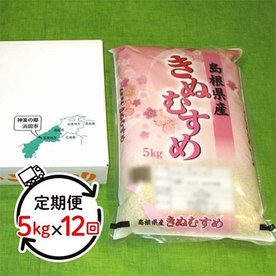 【毎月定期便】石見産 きぬむすめ 5kg 全12回