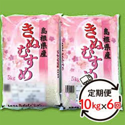 【毎月定期便】石見産 きぬむすめ 5kg×2袋(計10kg) 全6回