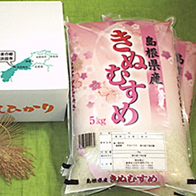 【毎月定期便】石見産 きぬむすめ 5kg×2袋(計10kg) 全6回