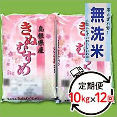【毎月定期便】無洗米 石見地方産きぬむすめ 10kg 全12回