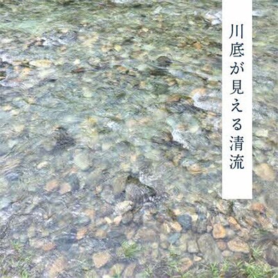【2ヵ月毎定期便】浜田市金城町産こしひかり 5kg　全6回