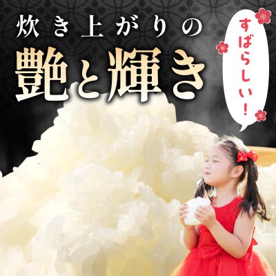 【2ヵ月毎定期便】特別栽培米「匠のつや姫」 5kg全6回