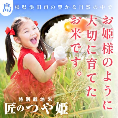 【毎月定期便】特別栽培米「匠のつや姫」 10 kg全6回