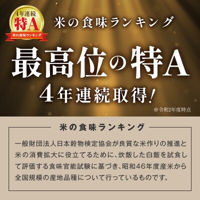 【毎月定期便】特別栽培米「匠のつや姫」 10 kg全6回