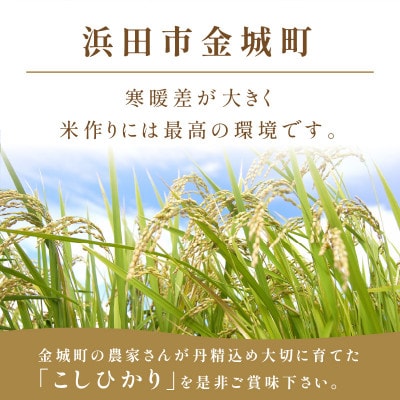 【2ヵ月毎定期便】浜田市金城町産こしひかり 5kg　全6回