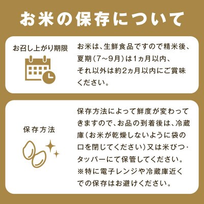 【2ヵ月毎定期便】浜田市金城町産こしひかり 5kg　全6回