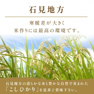 【毎月定期便】神楽の郷 石見のこしひかり 5kg全12回