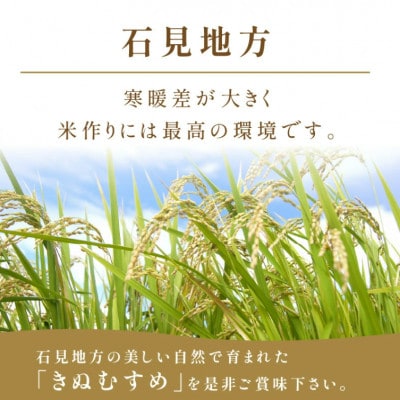 【毎月定期便】石見産 きぬむすめ 5kg全12回