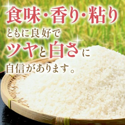 【毎月定期便】石見産 きぬむすめ 10kg全6回