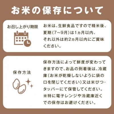 【毎月定期便】神楽の郷 石見のこしひかり　5kg全12回
